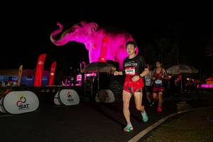 BIB: 
                            <button type="button" onclick="openModal(26535251)" class="btn btn-primary btn-sm float-right btn-popup" data-toggle="modal" data-target=".modal-high-quality">
                        <i class="fas fa-shopping-cart"></i> Add to Cart
                    </button>
                                            <button type="button" onclick="isThisMe(26535251, true)" class="btn btn-success btn-sm float-right btn-popup btn-isme hidden" data-toggle="tooltip" data-placement="bottom" title="นี่คือรูปของคุณใช่ไหม คลิกที่นี่เพื่อเอาเข้าอัลบั้ม">
                        <i class="fas fa-plus"></i> Add to album
                    </button>
                    <button type="button" onclick="isThisMe(26535251, false)" class="btn btn-warning btn-sm float-right btn-popup btn-isnotme hidden">
                        <i class="fas fa-ban"></i> Remove from album
                    </button>